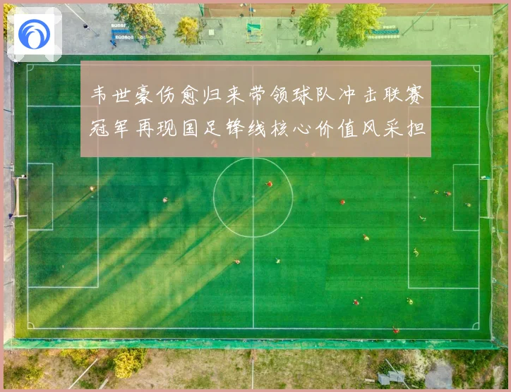 韦世豪伤愈归来带领球队冲击联赛冠军再现国足锋线核心价值风采担当