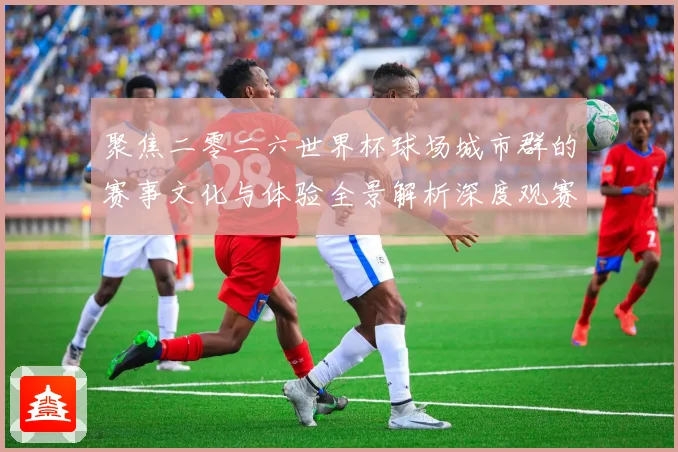 聚焦二零二六世界杯球场城市群的赛事文化与体验全景解析深度观赛事前瞻