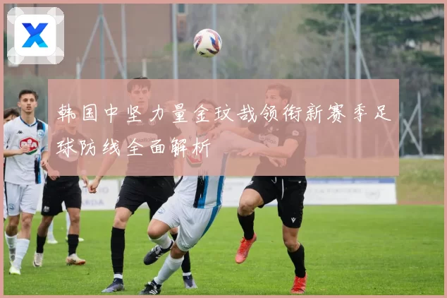 韩国中坚力量金玟哉领衔新赛季足球防线全面解析