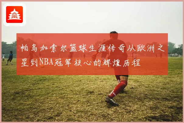 帕乌加索尔篮球生涯传奇从欧洲之星到NBA冠军核心的辉煌历程
