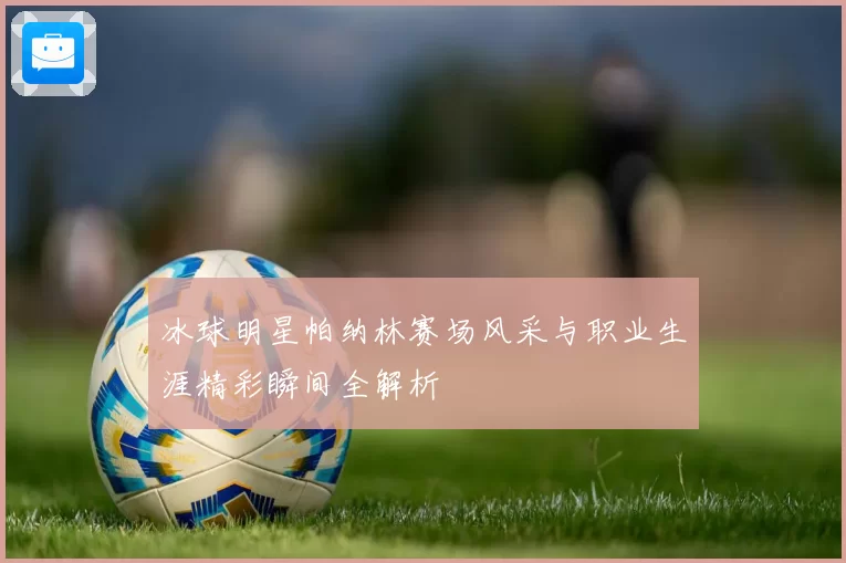 冰球明星帕纳林赛场风采与职业生涯精彩瞬间全解析