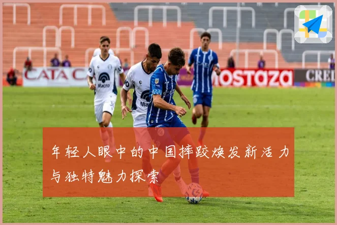 年轻人眼中的中国摔跤焕发新活力与独特魅力探索
