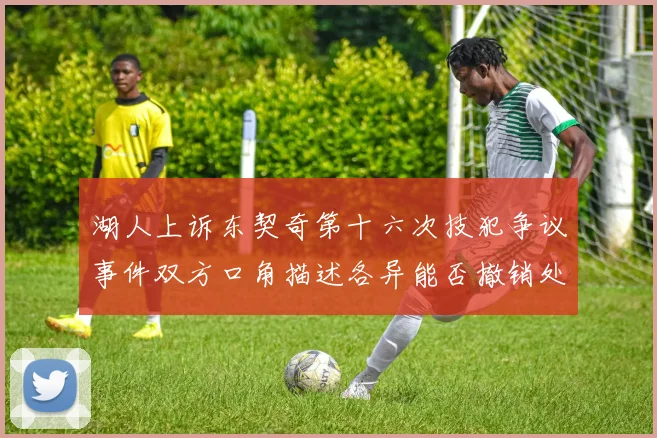湖人上诉东契奇第十六次技犯争议事件双方口角描述各异能否撤销处赛场复盘