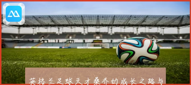 英格兰足球天才桑乔的成长之路与赛场风采全解析
