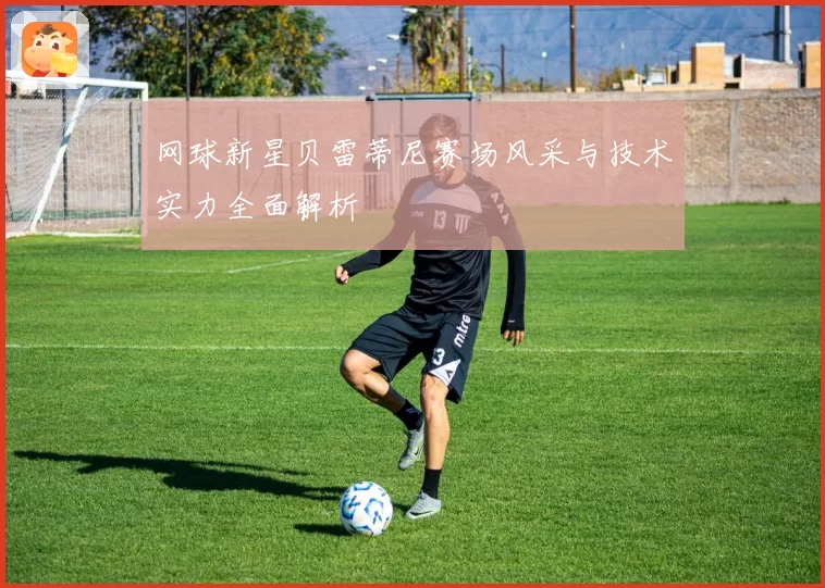 网球新星贝雷蒂尼赛场风采与技术实力全面解析