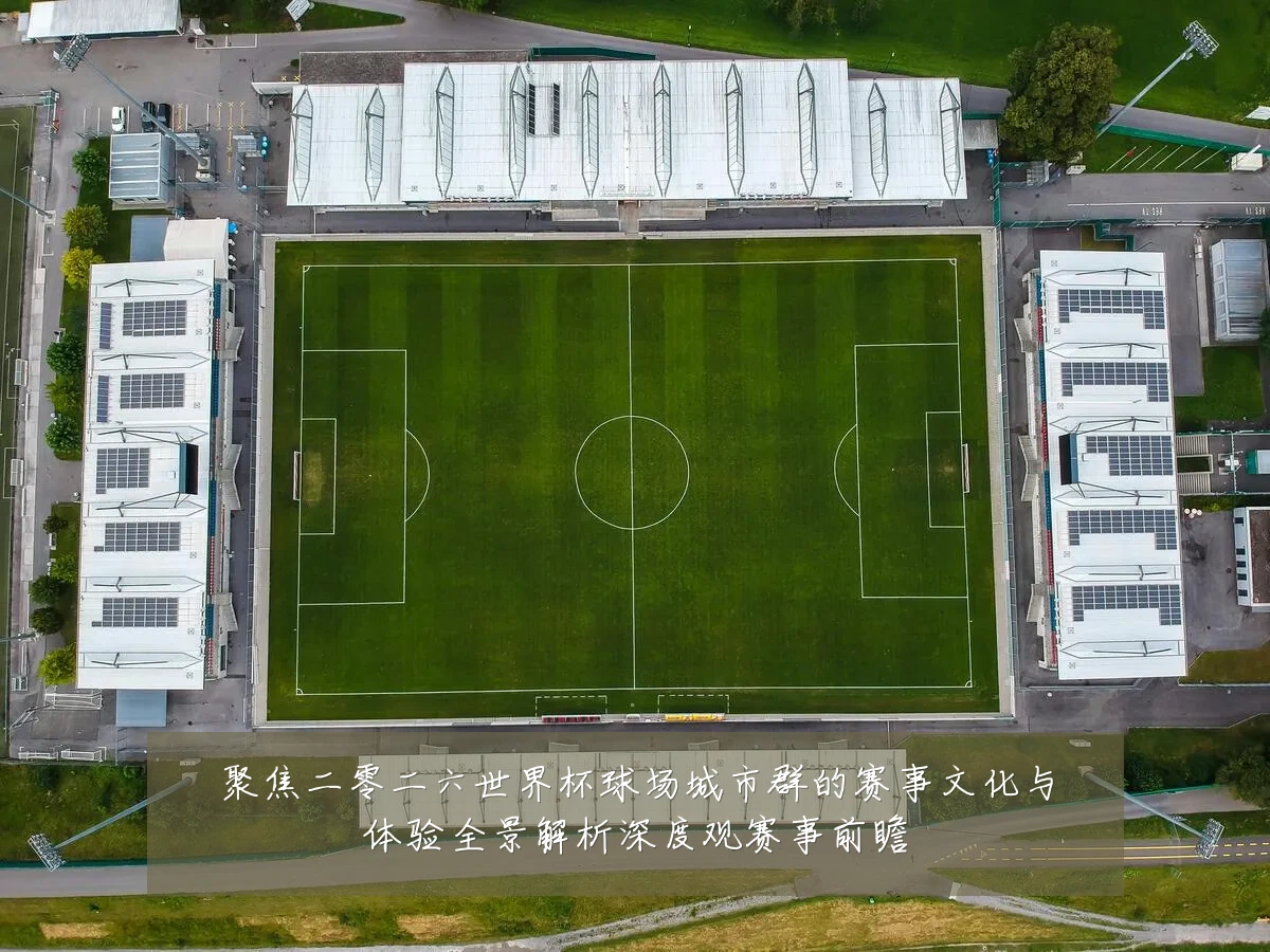 聚焦二零二六世界杯球场城市群的赛事文化与体验全景解析深度观赛事前瞻