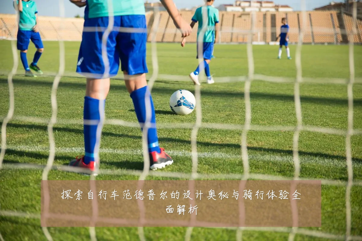 探索自行车范德普尔的设计奥秘与骑行体验全面解析