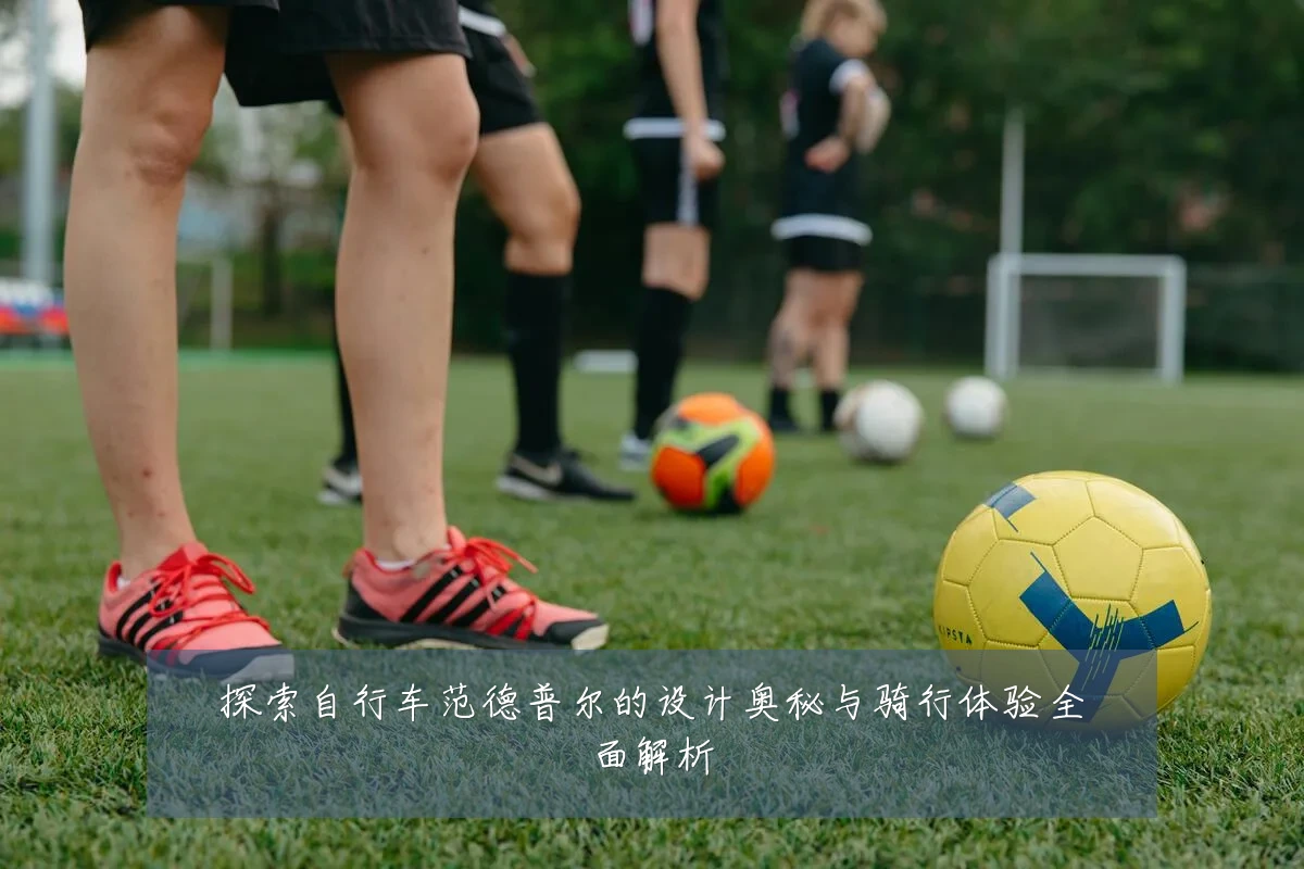探索自行车范德普尔的设计奥秘与骑行体验全面解析