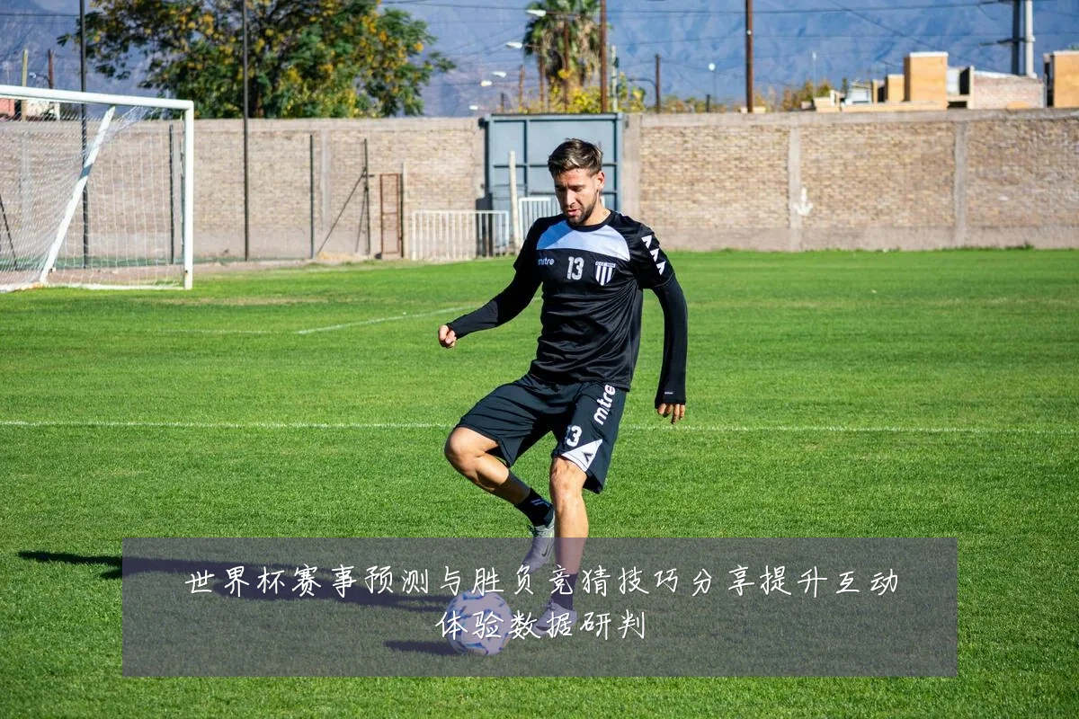 世界杯赛事预测与胜负竞猜技巧分享提升互动体验数据研判